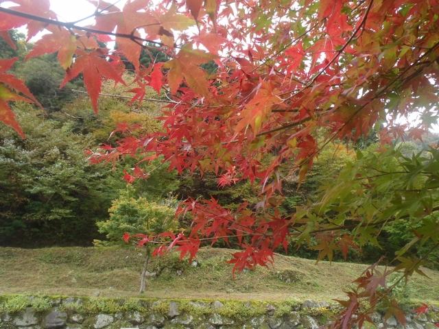 登山口から紅葉がお出迎え